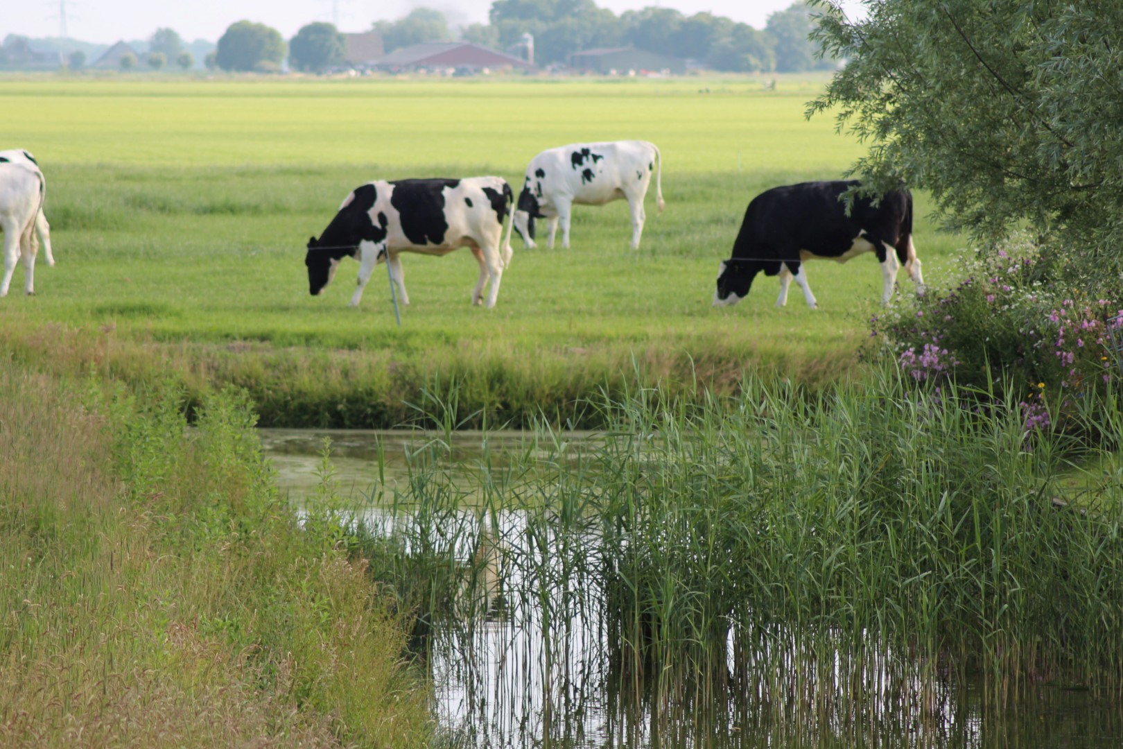 Buitenzijde 19