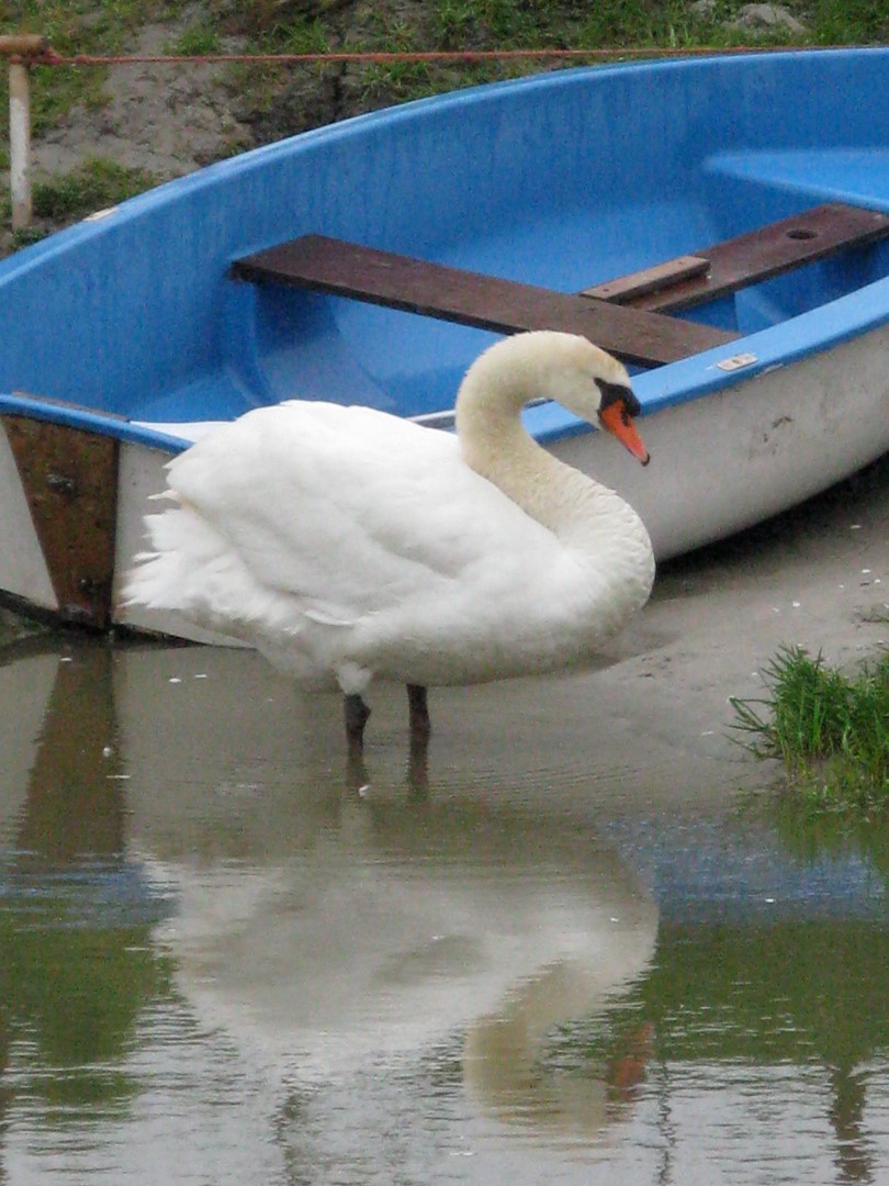 Buitenzijde 16